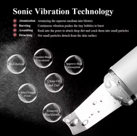 Veloura™ Ultrasonic Skin Scrubber